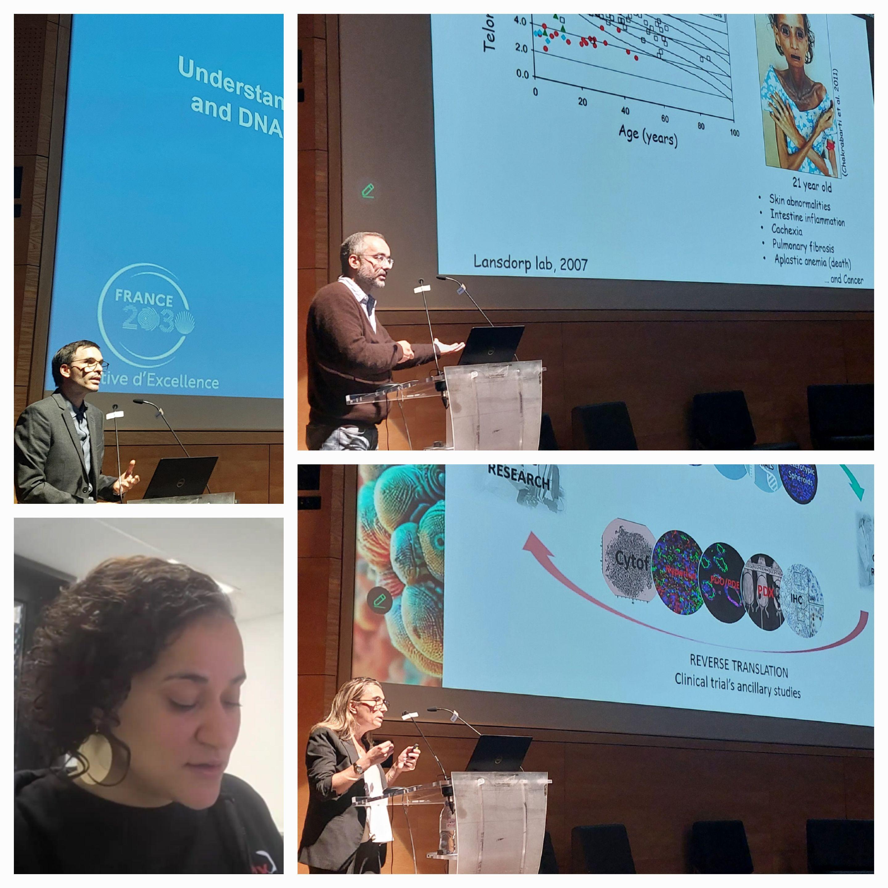 photos Meeting immunity