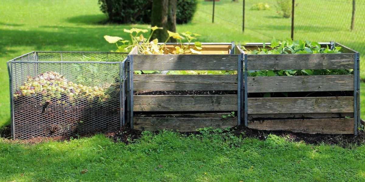 potager dans des cagettes 