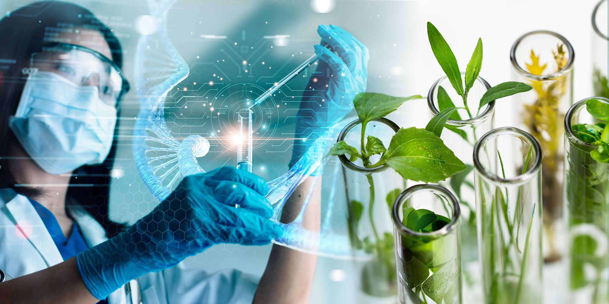 Portail Sciences de la Vie