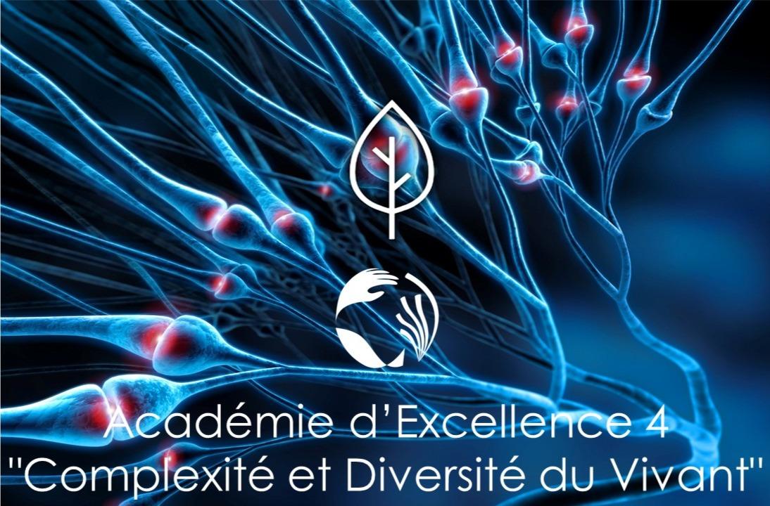 Académie4_montage
