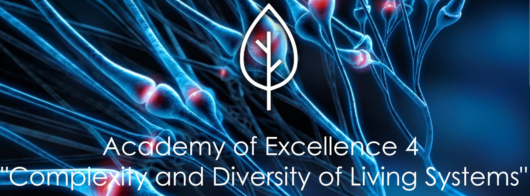 Academy of Excellence 4