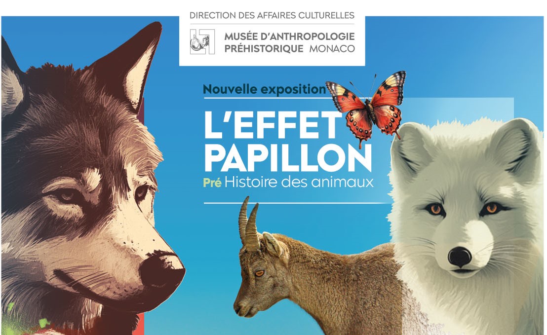 Affiches_Effet_Papillon_Version_Bleu_A3