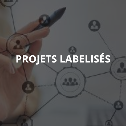 Projets labelisés IdEx