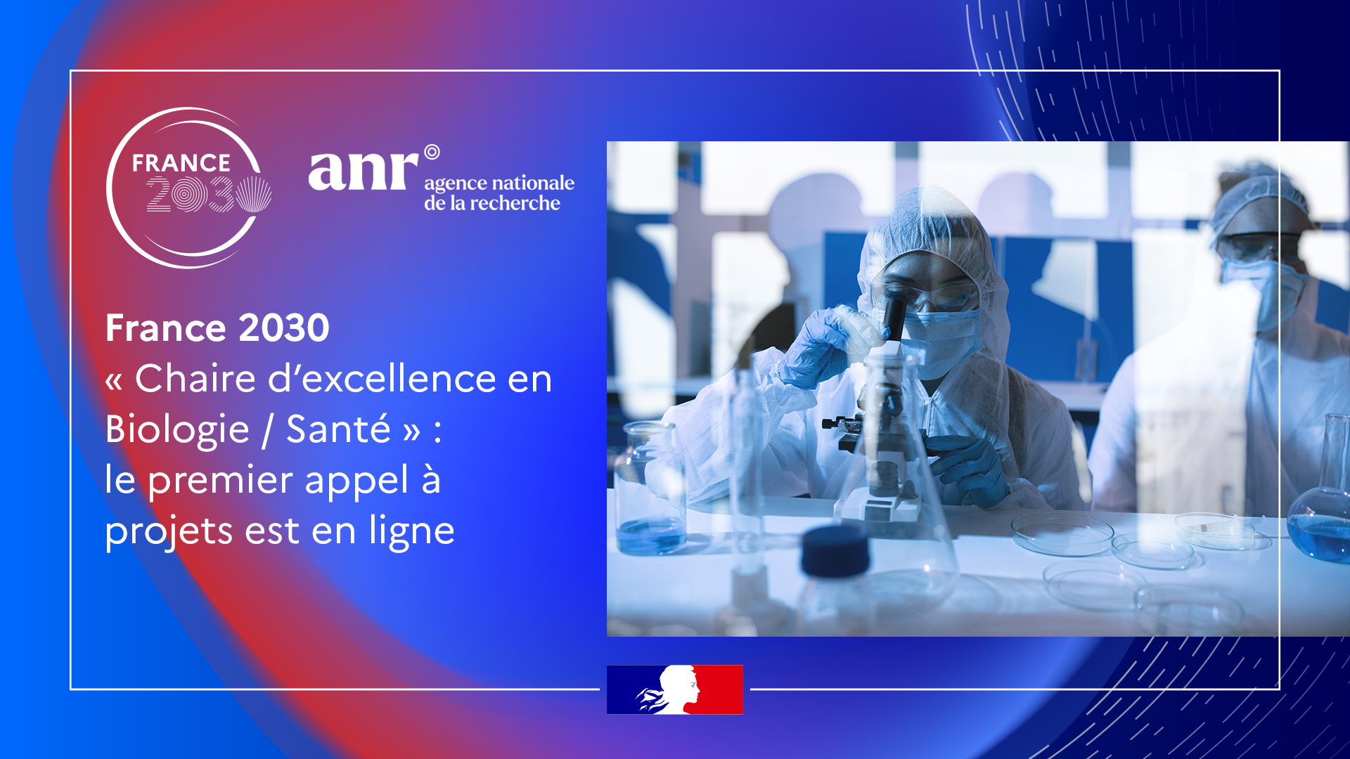 anr chaires d'excellence