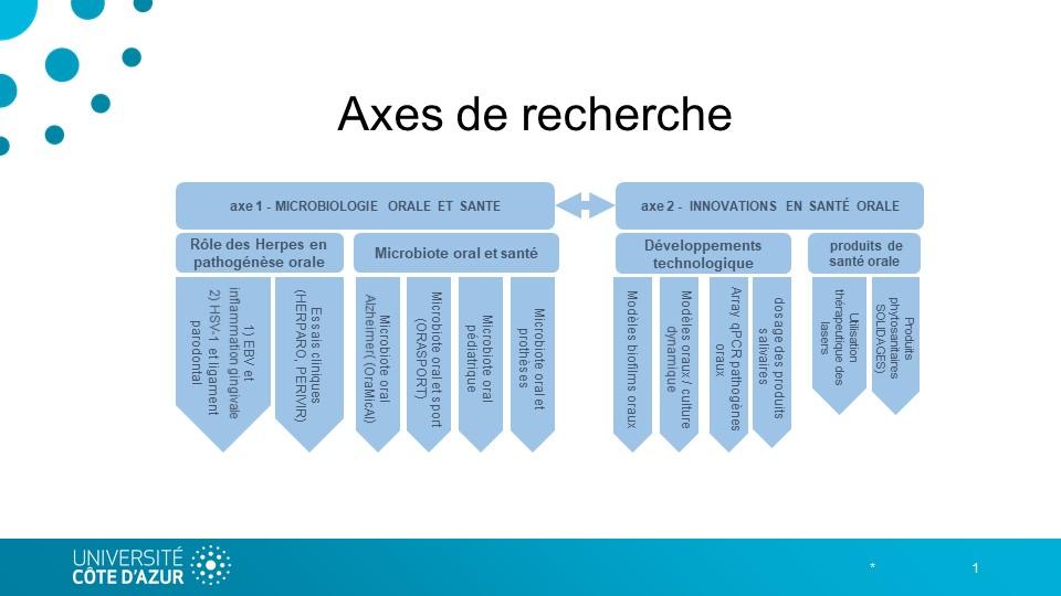 Axes de recherche Laboratoire MICORALIS