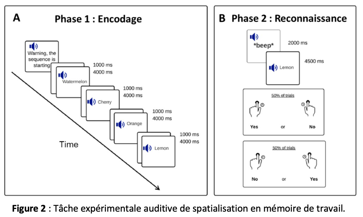 spatialisation-fig2