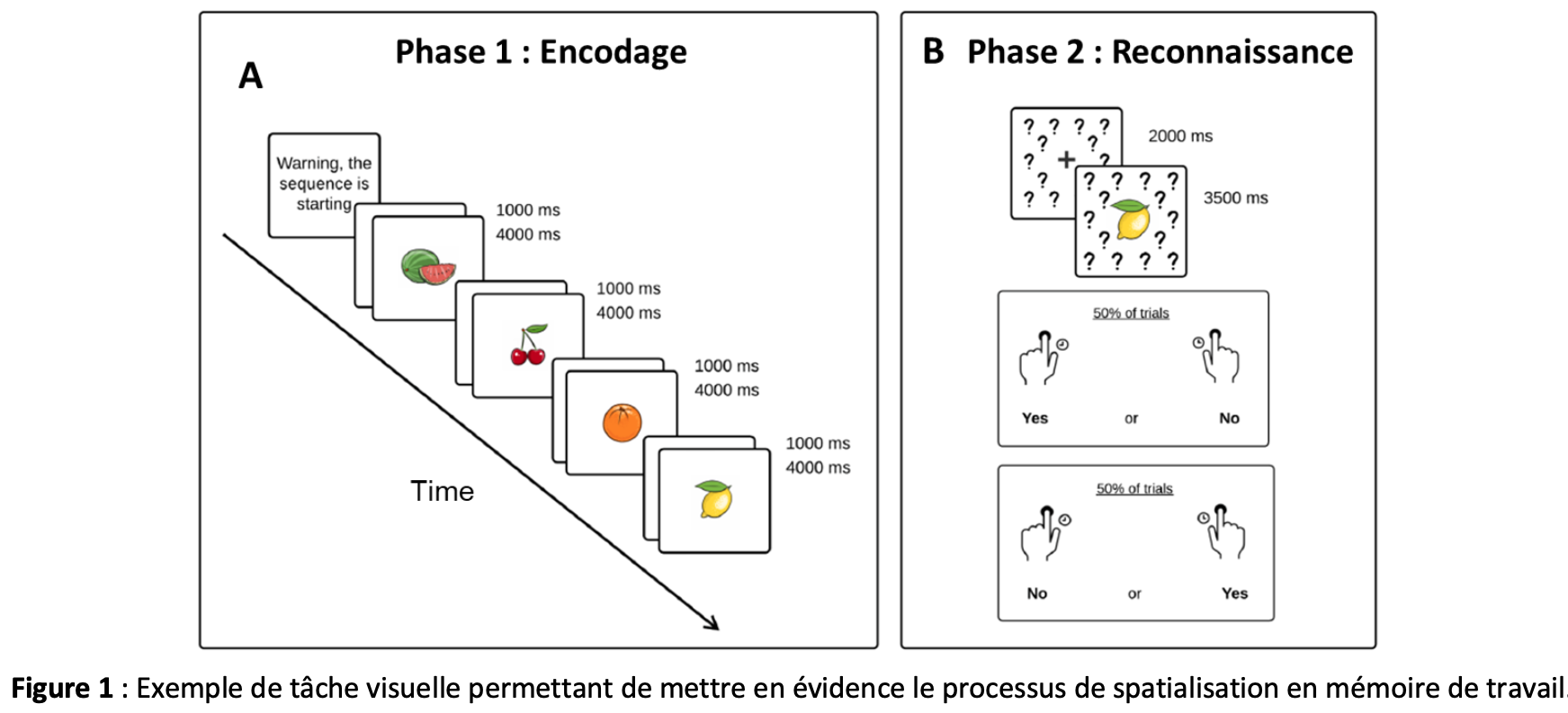 spatialisation-fig1