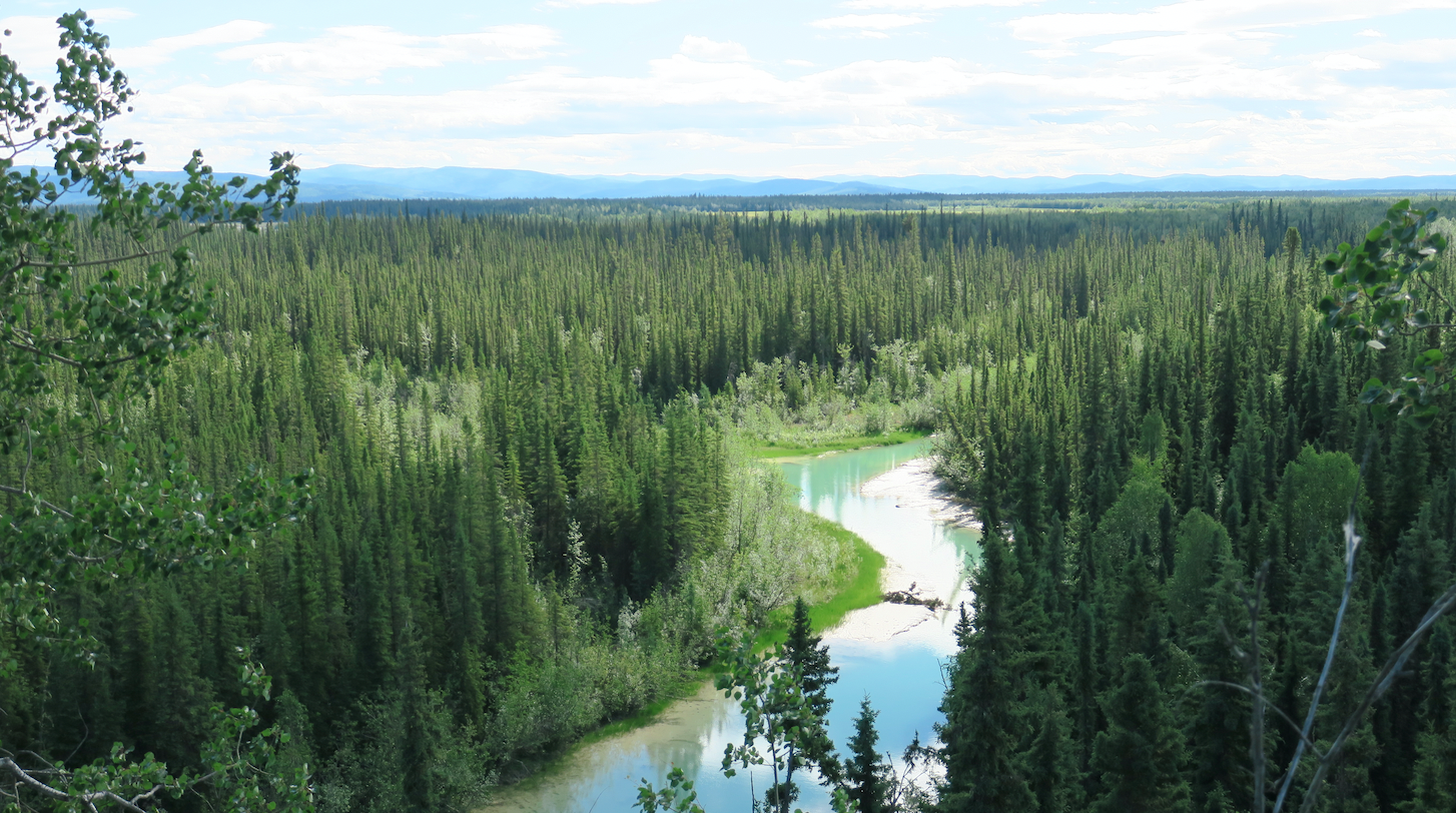 alaska tanana bandeau