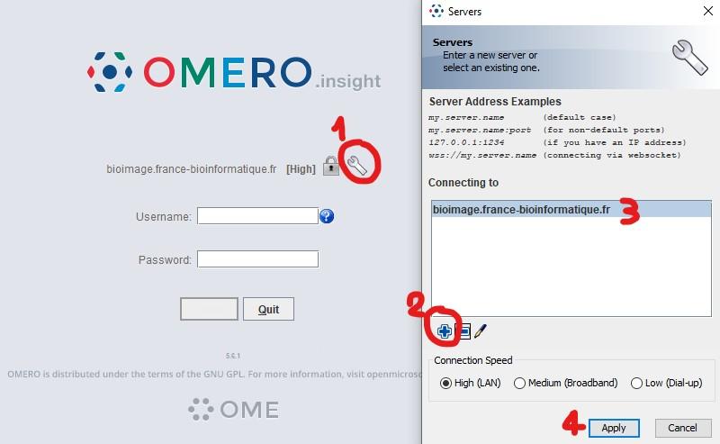 Adresse_serveur_Omero_Insight