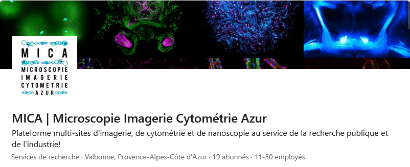 Entete_Linkedin_MICA