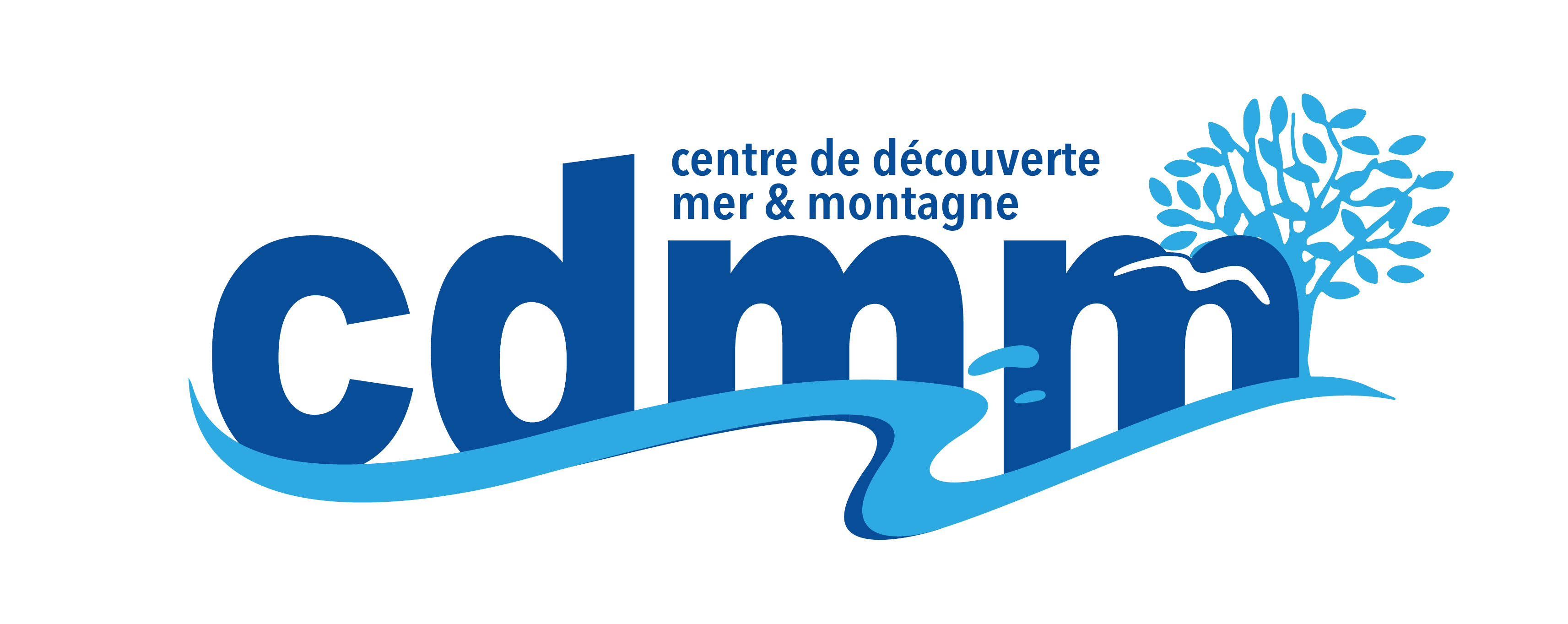 logo du CDMM
