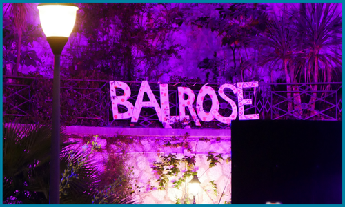 balrose pelouse