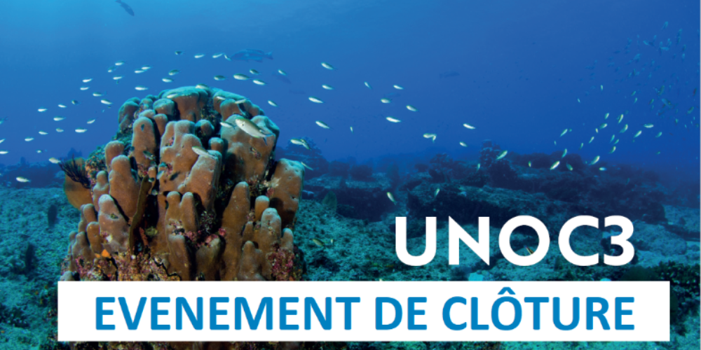 Design sans titre(4)