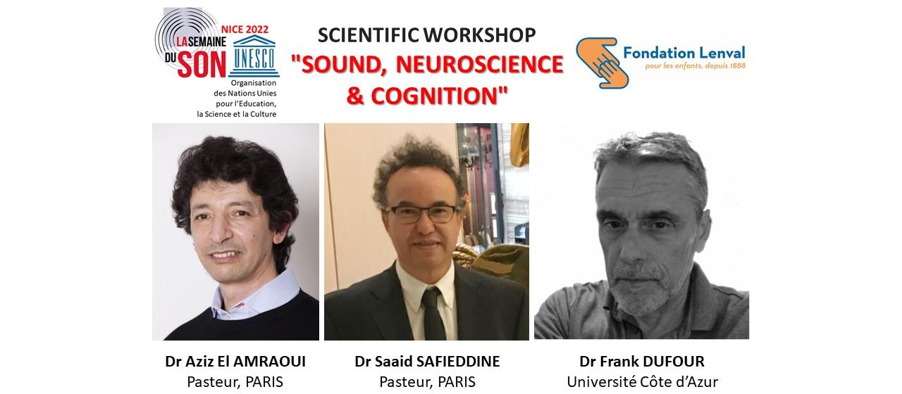 Workshop Sound Neuroscience Cognition 26 jan LENVAL