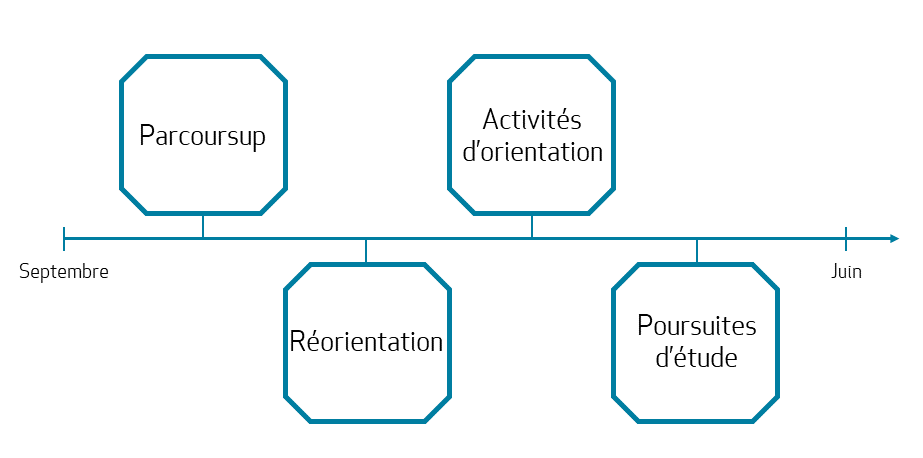 Activité d'orientation