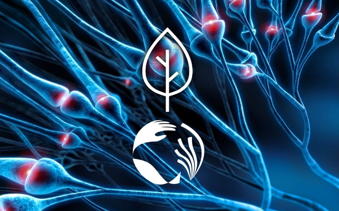 Academy Complexity and Diversity of the living systems