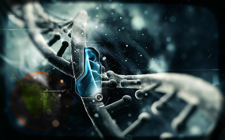 Nucleic acid sensing and innate immunity in cancer and aging