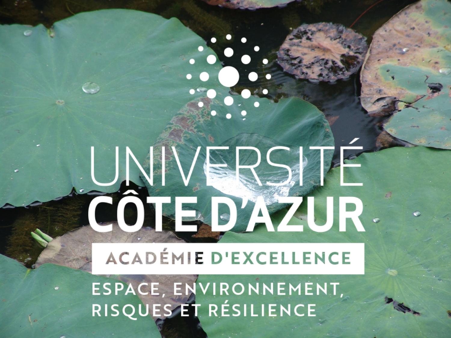 logo academie 3