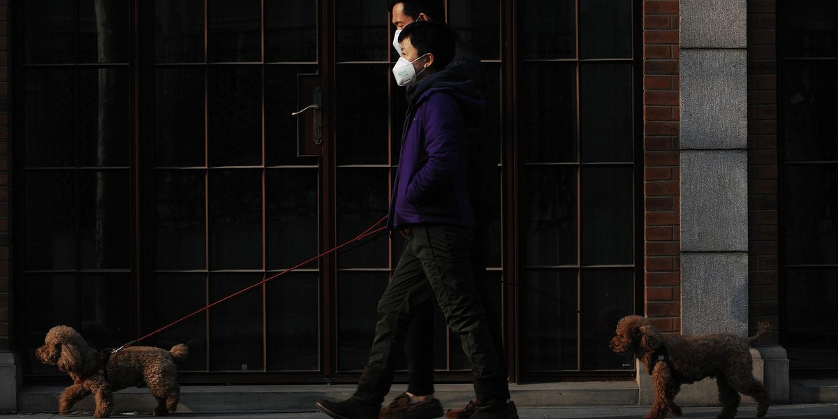 deux hommes masqués promenant leurs chiens 