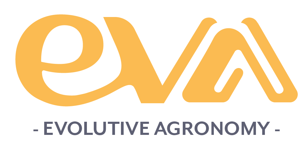 EVA logo