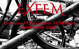 Projet EXFEM