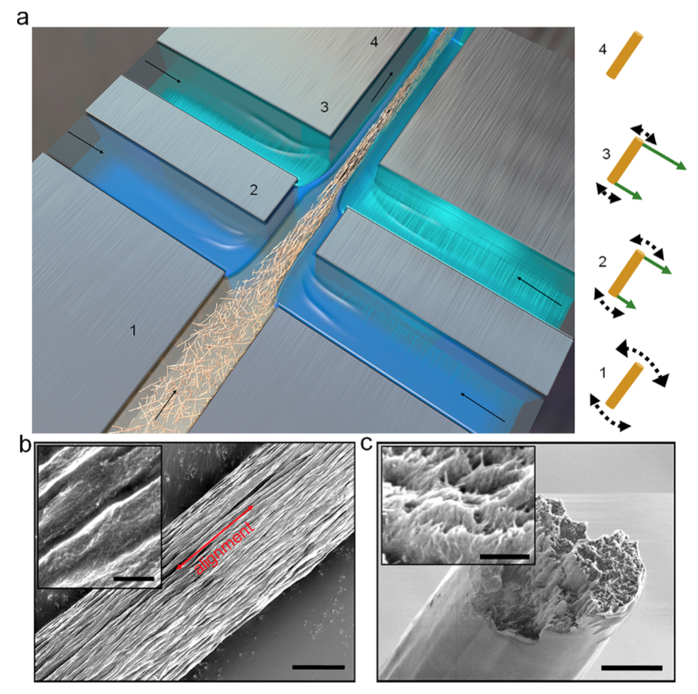 filament nanocellulose