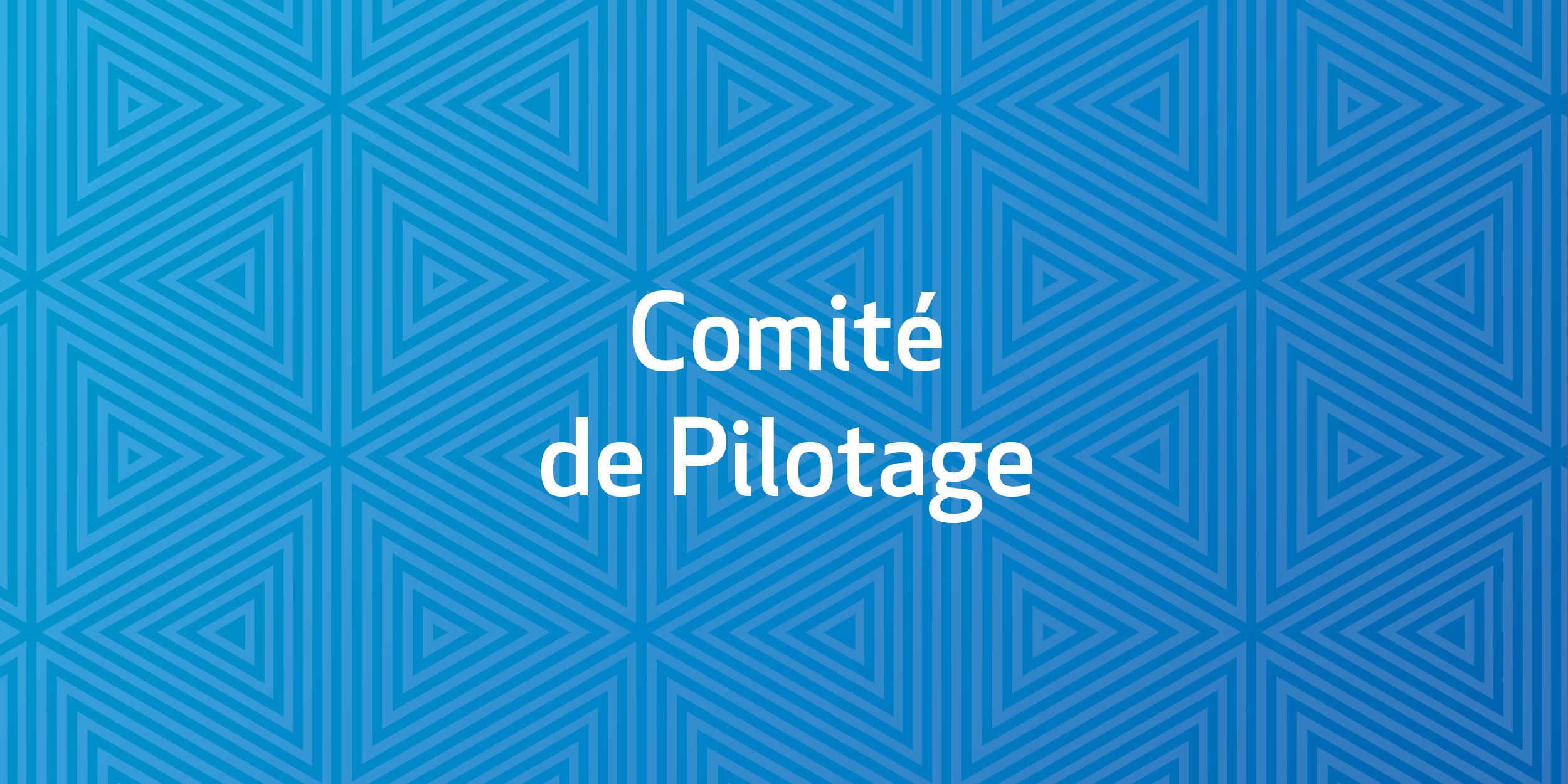 Comité de Pilotage