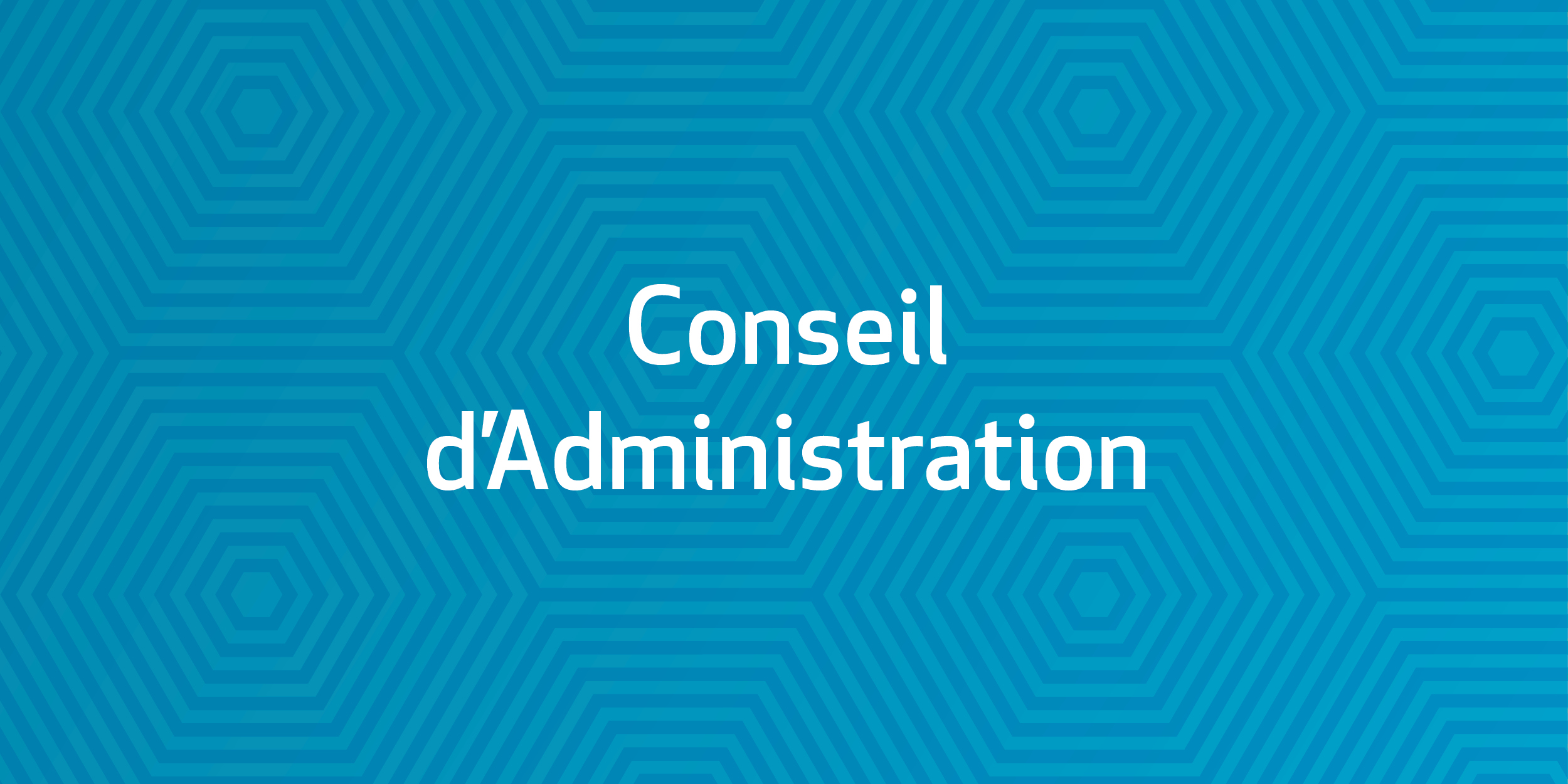 Conseil d'Administration