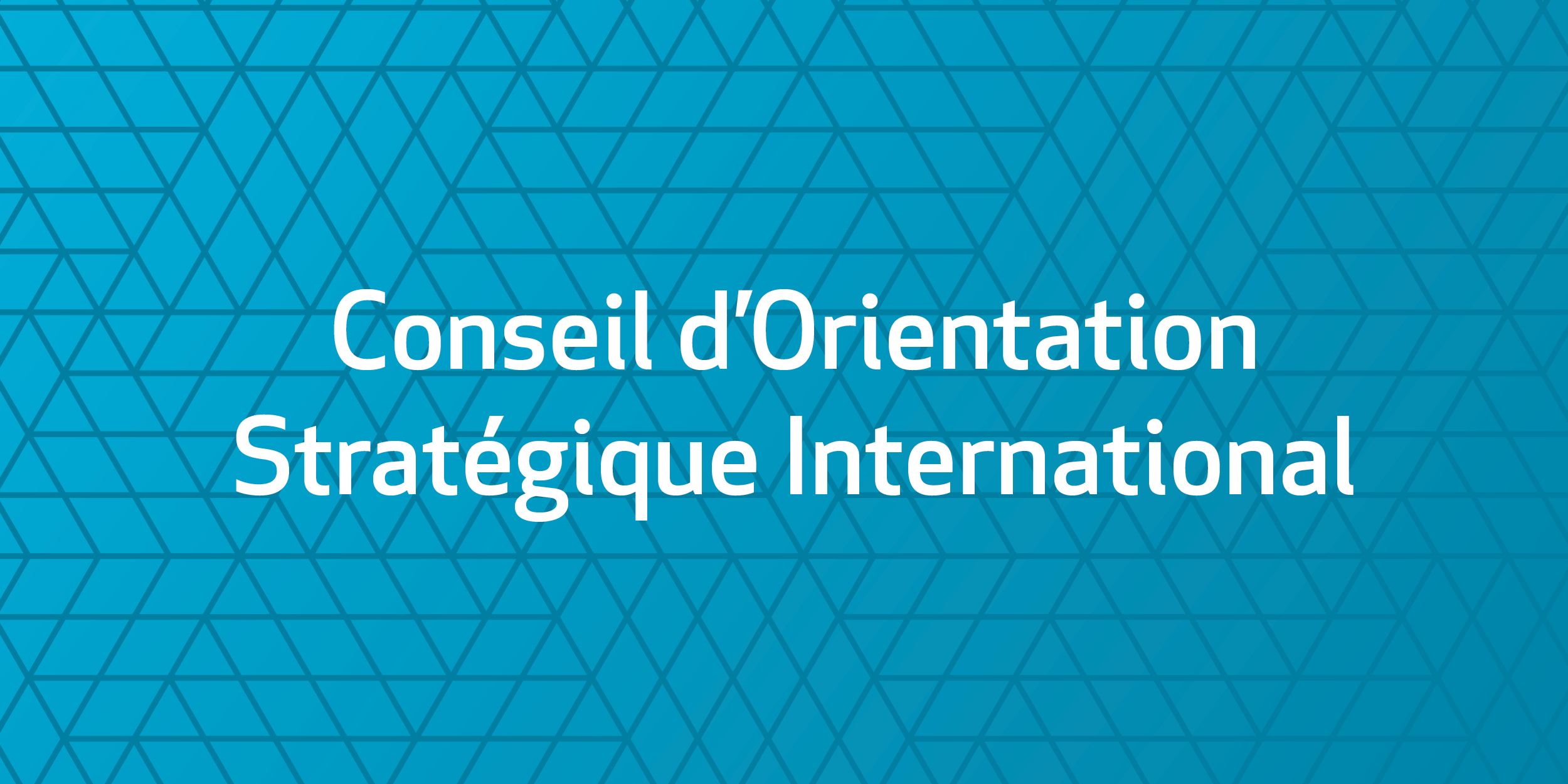 Conseil d'orientation stratégique international