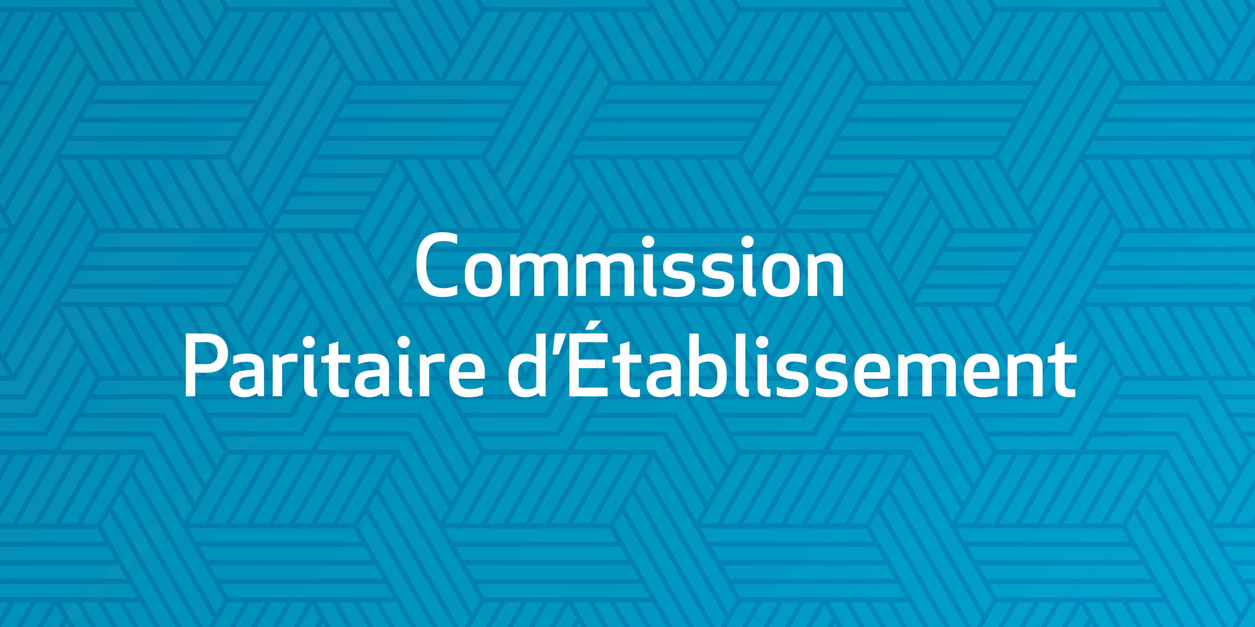 Commission Paritaire d'Etablissement 