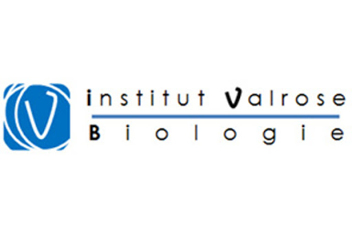 Logo de l'Institut de biologie de Valrose - IBV