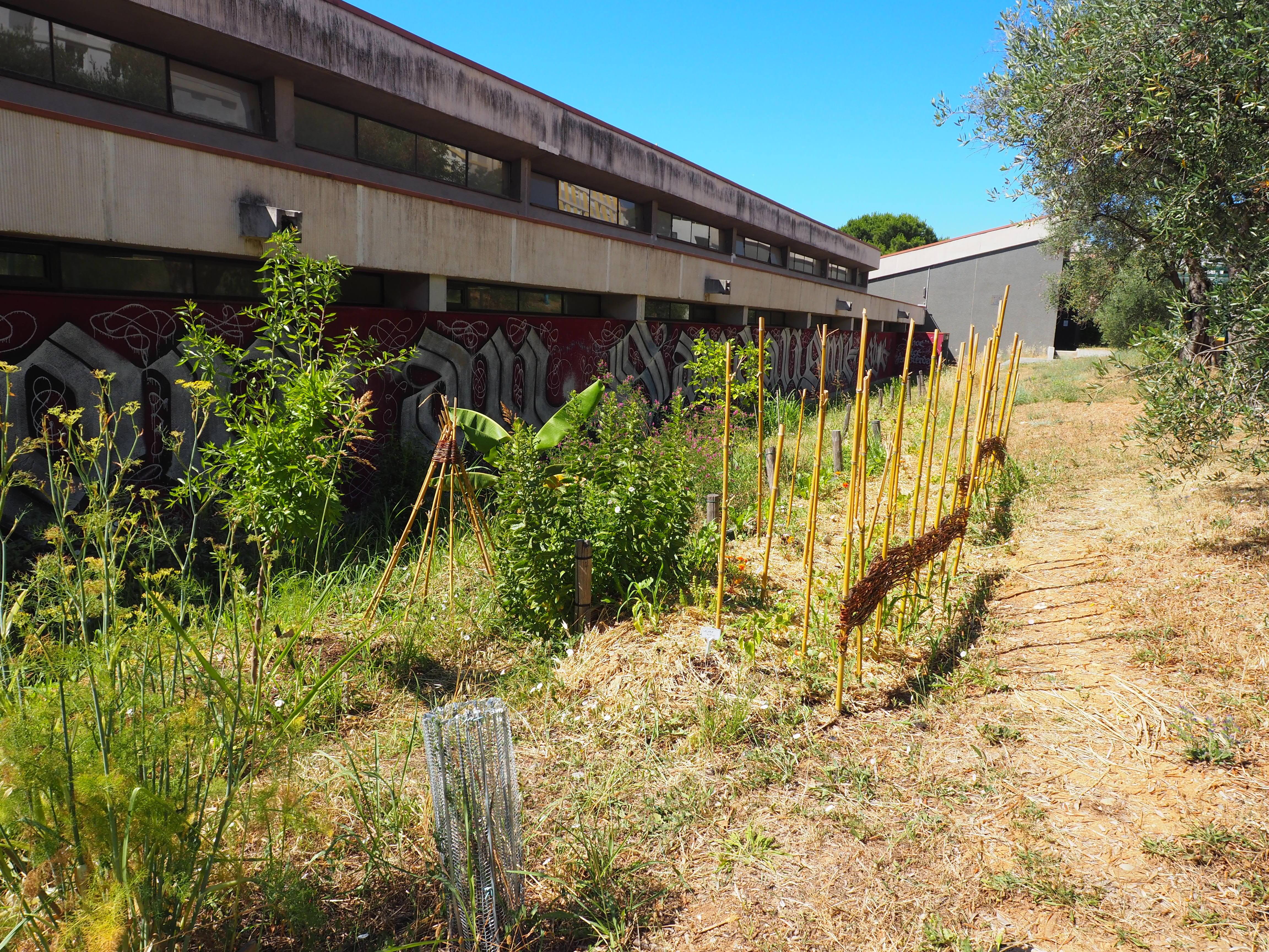 Jardin permaculture Carlone