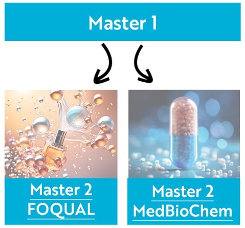 Schema Master Chimie