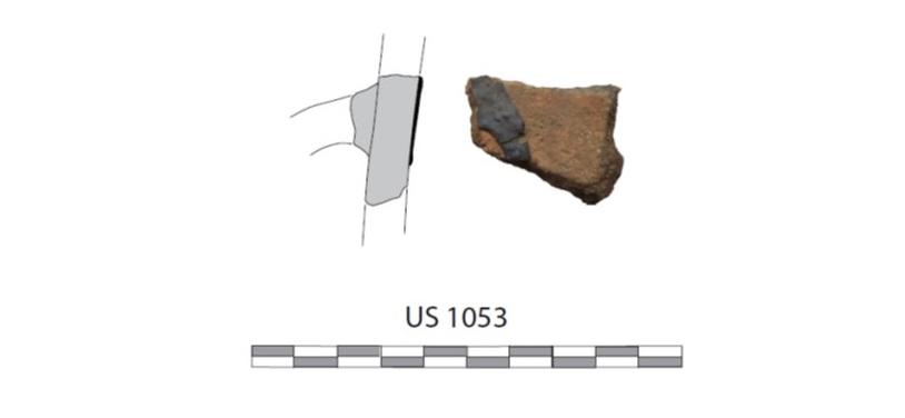 Illustration archeoplantes