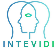 intevidi logo