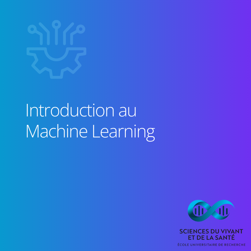 Mineure EFELIA-3IA Côte d'Azur - Introduction au Machine Learning