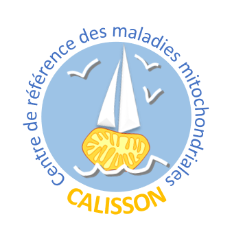 calisson