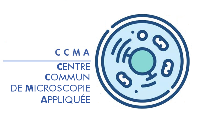 logo CCMA