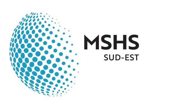 logo MSHS new