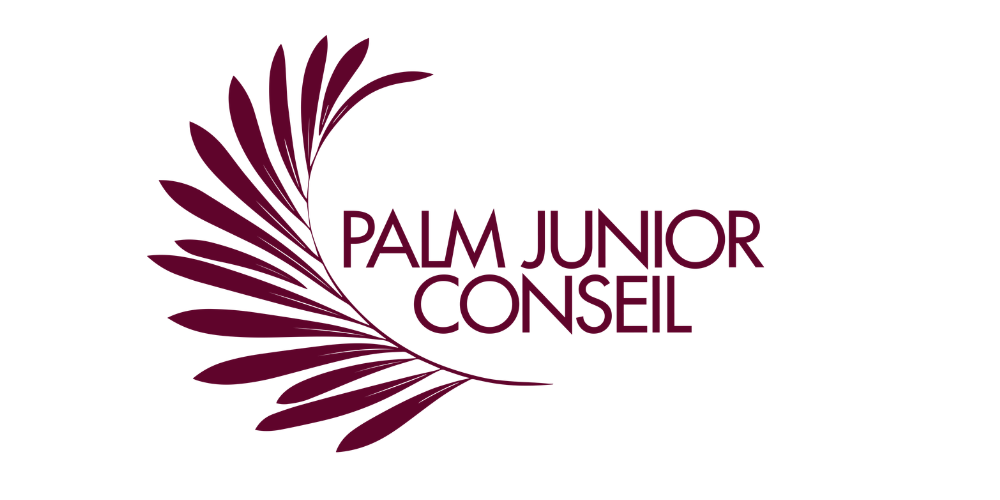 logo Palm Junior Conseil