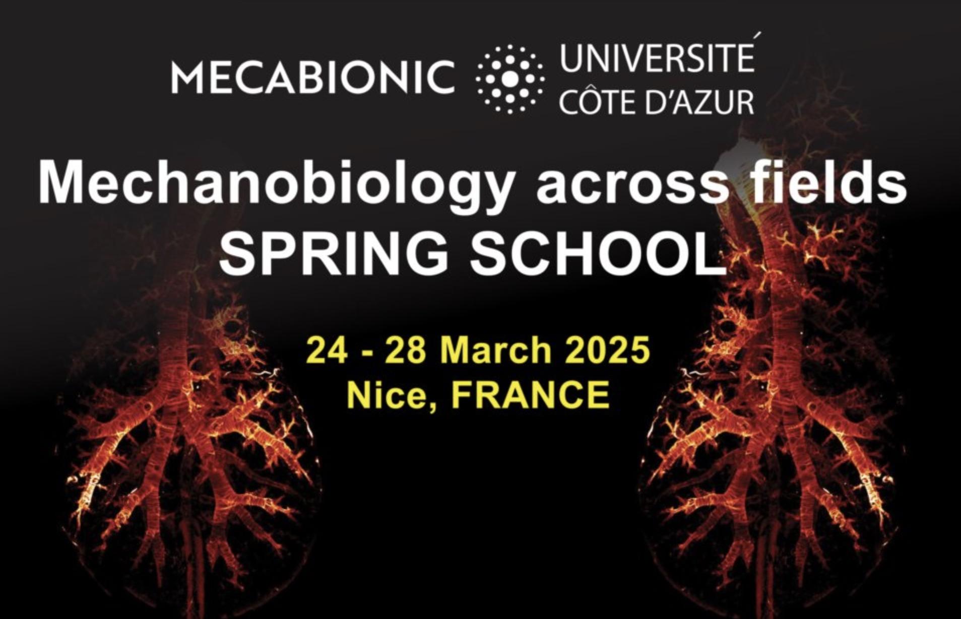 Spring School MECABIONIC