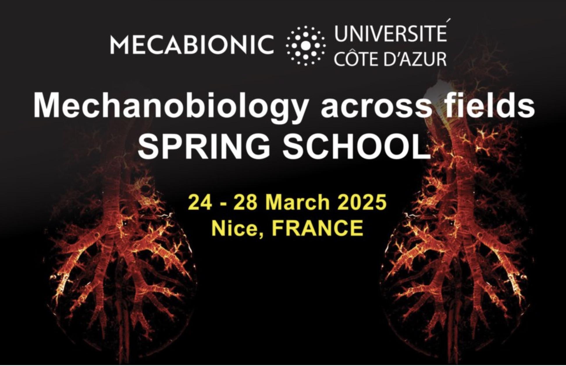 Spring School MECABIONIC