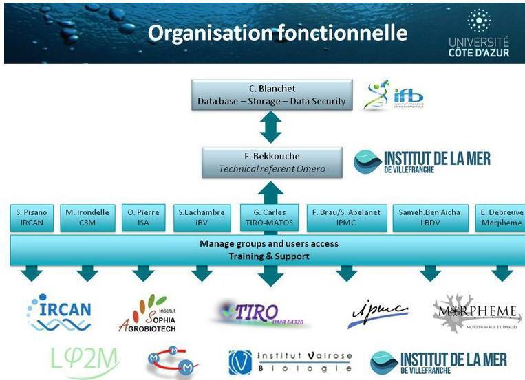 Organisation fonctionnelle de la plateforme MUTIMAGE_UCA