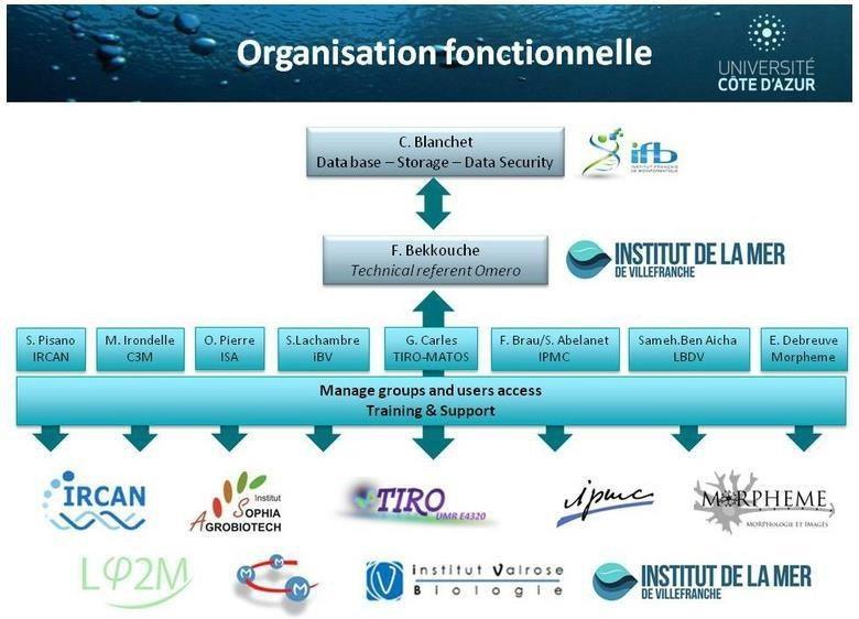 Organisation fonctionnelle de la plateforme MUTIMAGE_UCA