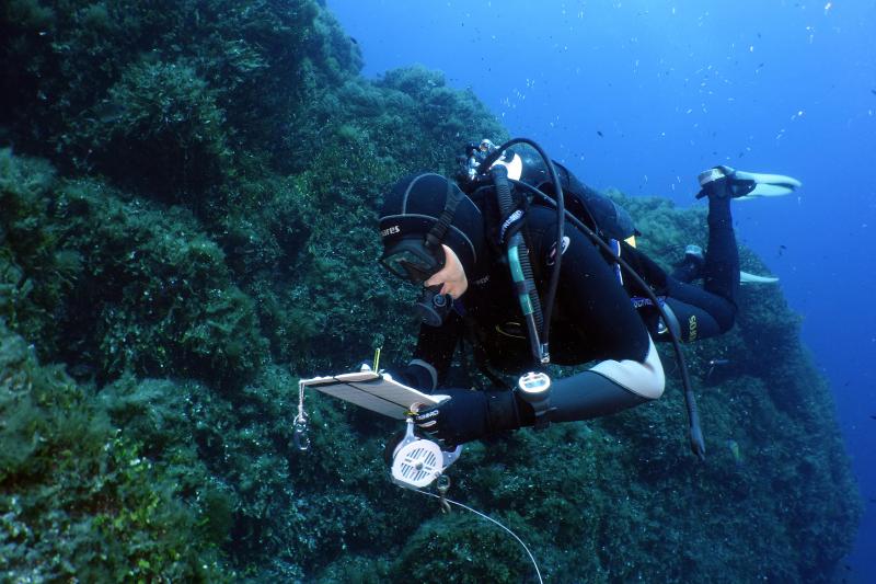 Ocean Bottom Hydrophone (OBH) in the process of being installed at a 10 meter depth off Les Marinières beach (Villefranche-sur-mer). 