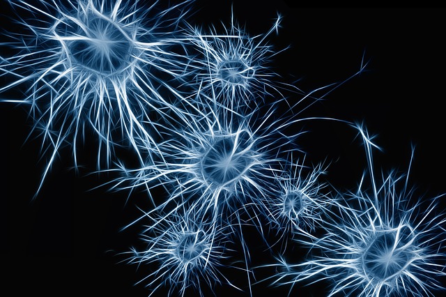 Réseaux de neurones