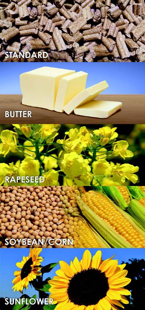 Standard Diet (SD) or different hyperlipidic diets (butter, rapeseed, soybean/corn, sunflower) used in nutrition experiments. 