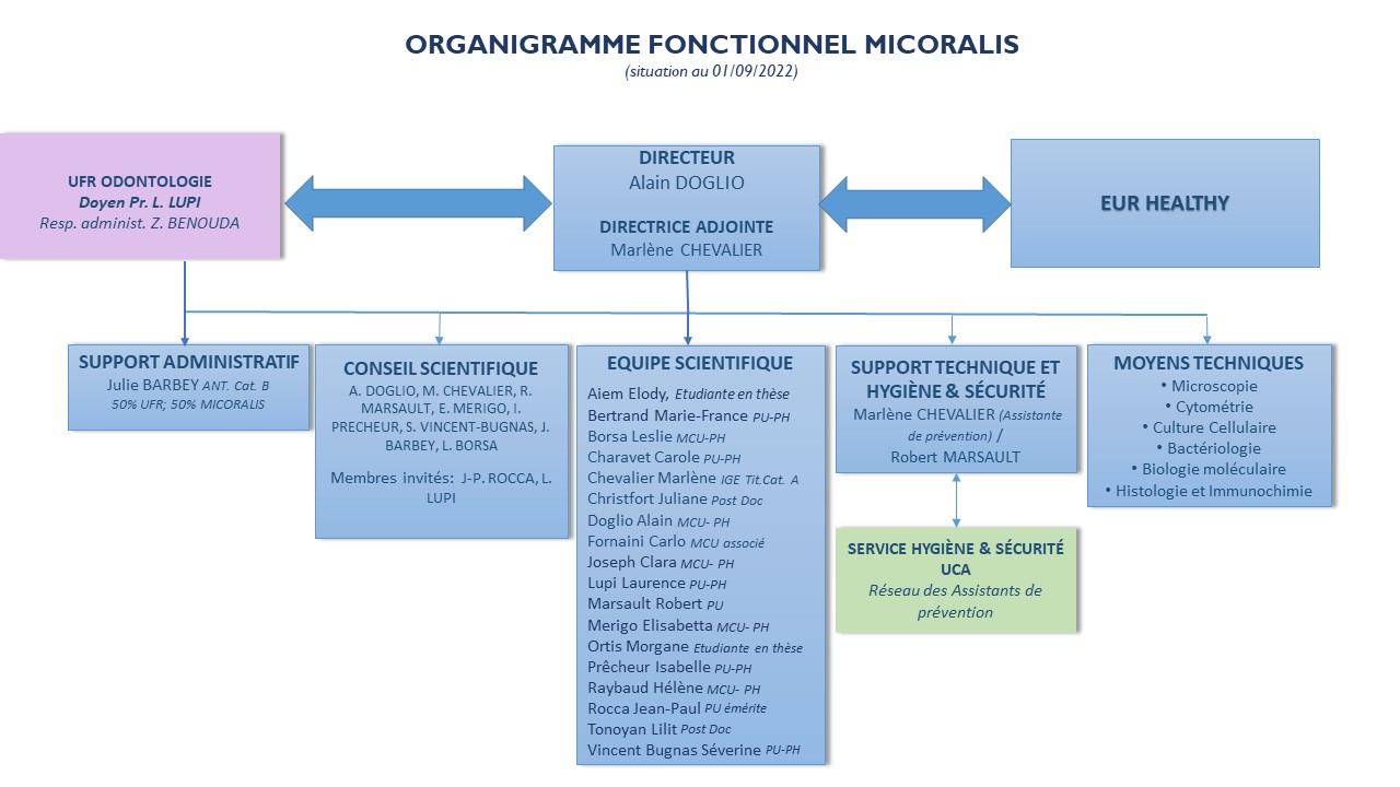 Organigramme MICORALIS