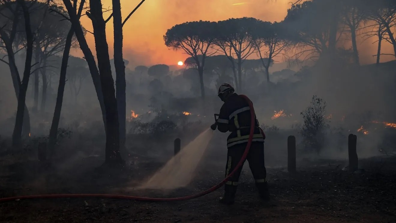Un pompier lutte contre les flammes d'un feu de forêt, le 17 août 2021 à Gonfaron (Var).