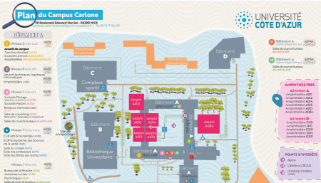 plan carlone